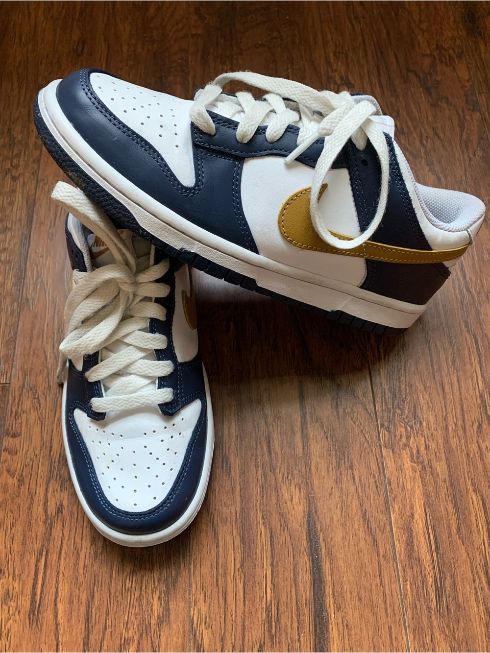 Nike Kids Navy, White and Gold Low-Top Sneakers